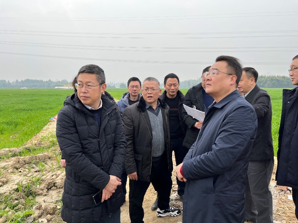 省社、省供投集團(tuán)領(lǐng)導(dǎo)調(diào)研青白江區(qū)四川現(xiàn)代供銷(xiāo)種業(yè)園區(qū)