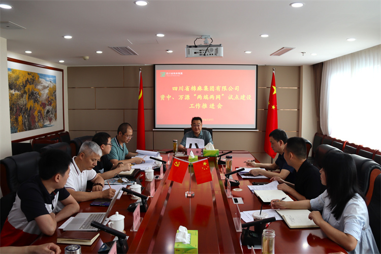 鄧華主持召開資中、萬源“兩端兩網(wǎng)”試點(diǎn)建設(shè)工作推進(jìn)會