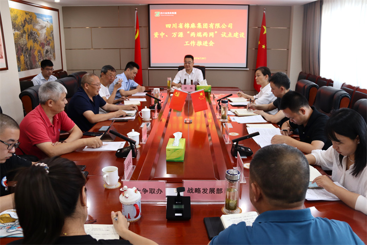鄧華主持召開資中、萬源“兩端兩網”試點建設工作推進會