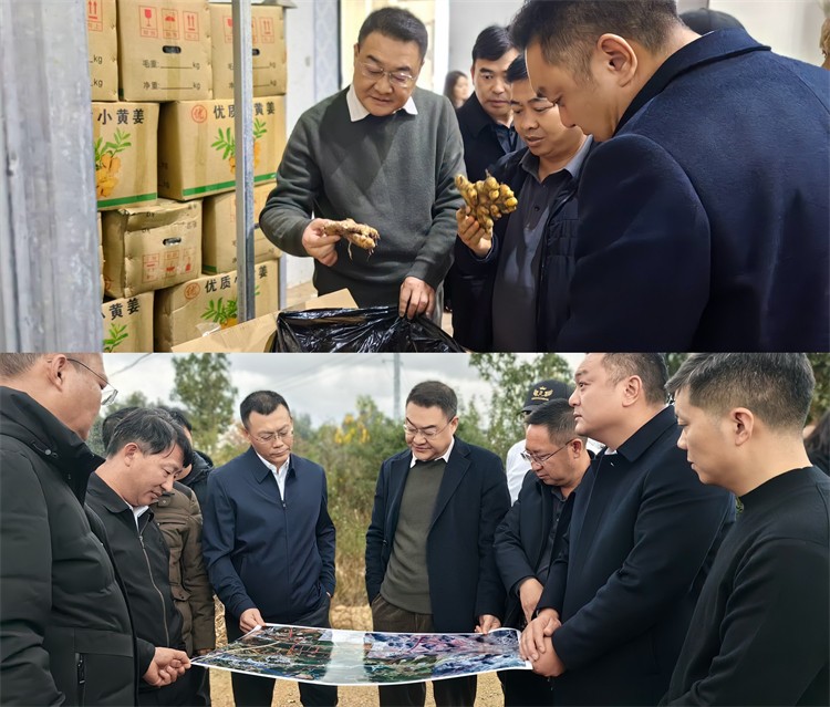 集團公司赴文山州調研小黃姜產業(yè)園項目
