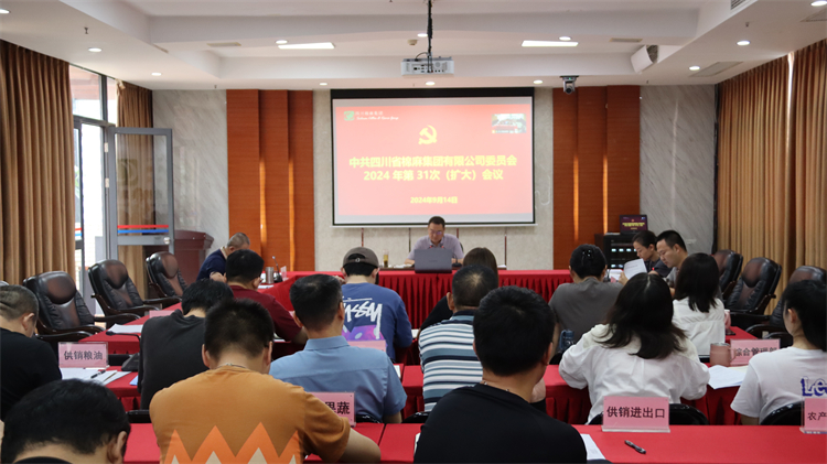 集團(tuán)公司召開2024年第31次黨委（擴大）會議