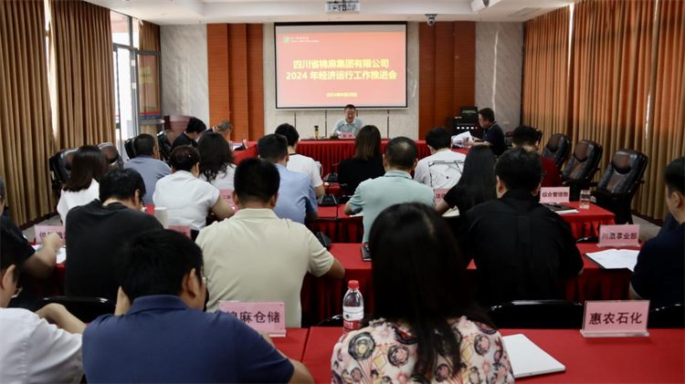 集團(tuán)公司召開2024年經(jīng)濟(jì)運行工作推進(jìn)會