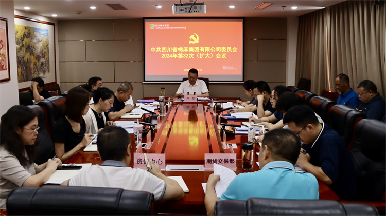 集團(tuán)公司召開2024年第32次黨委（擴大）會議