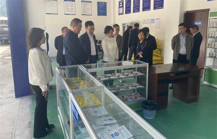 四川省供銷社黨組成員、理事會副主任、一級巡視員楊武秀帶隊到萬源調(diào)研集團舊院黑雞產(chǎn)業(yè)發(fā)展工作